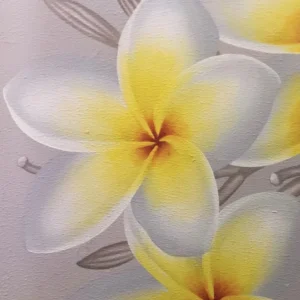Quadro con fiore frangipane bianchi