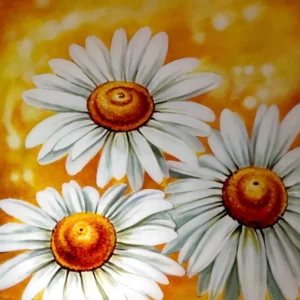 Quadro con margherite arancione e bianco