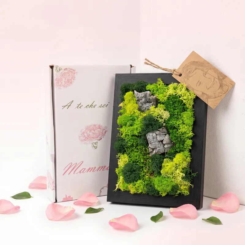 Quadro Mini di Muschio e Licheni con Scatola Regalo