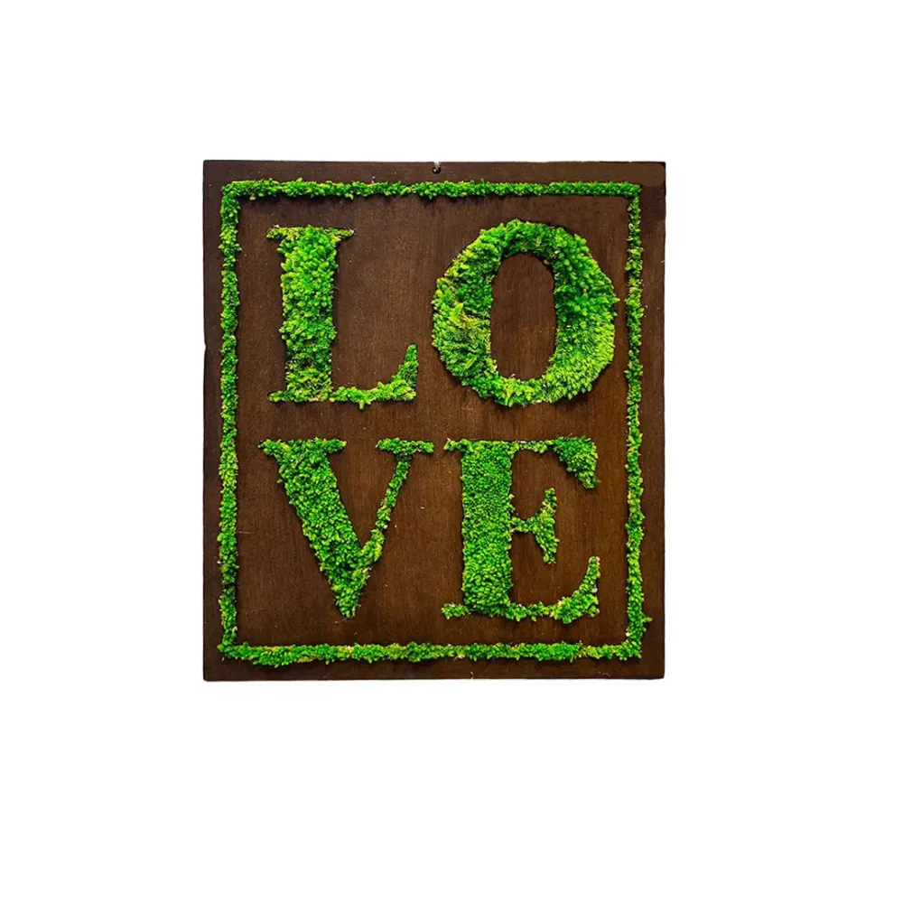 Quadro muschio stabilizzato "Love" con scatola regalo