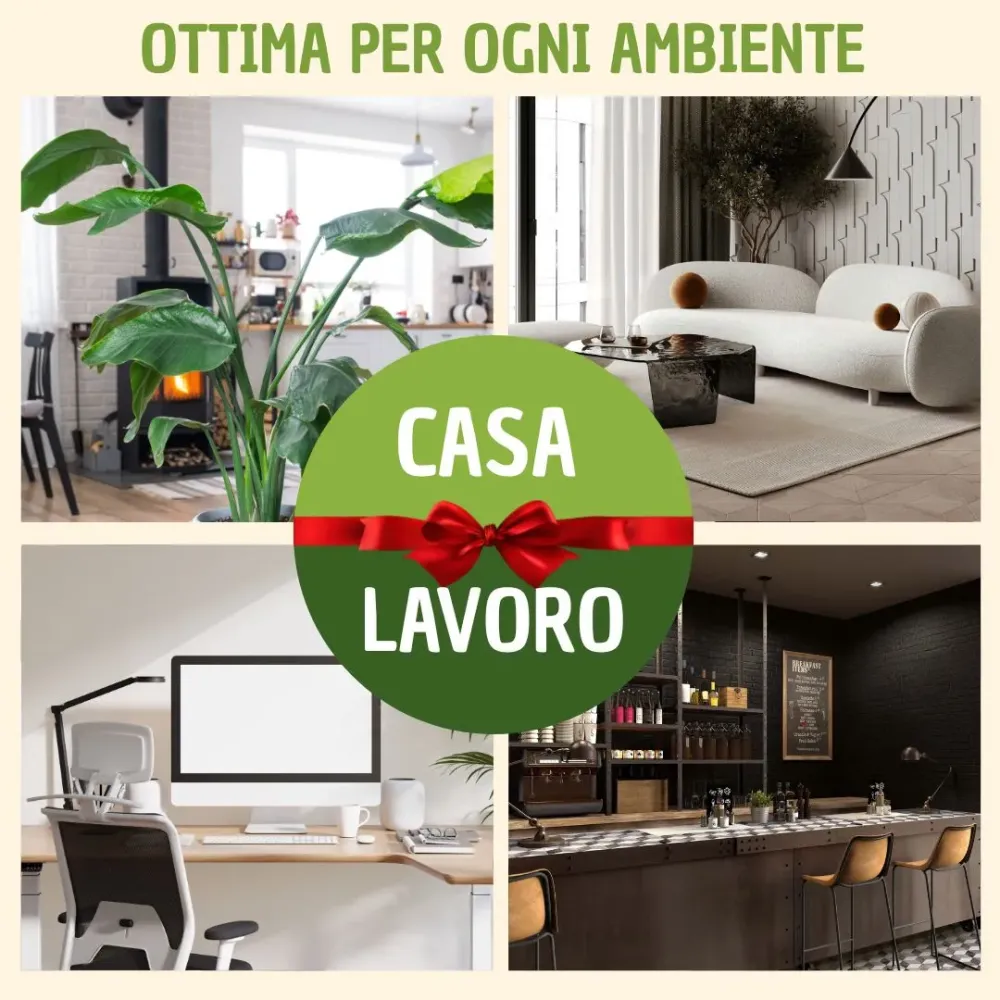 Quadro muschio stabilizzato "Love" con scatola regalo