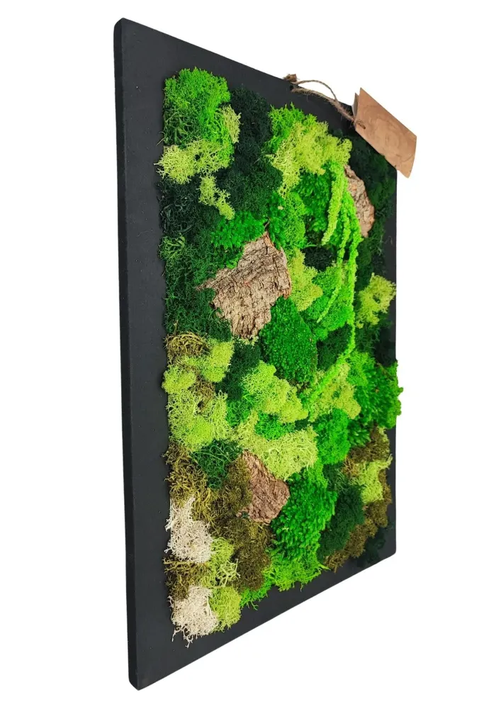 Quadro rettangolare 30X40 cm di muschi e licheni stabilizzato con scatola regalo