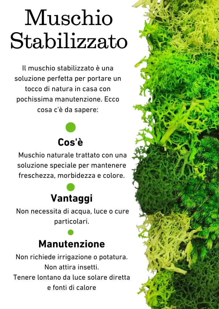 Quadro rettangolare 30X40 cm di muschi e licheni stabilizzato con scatola regalo