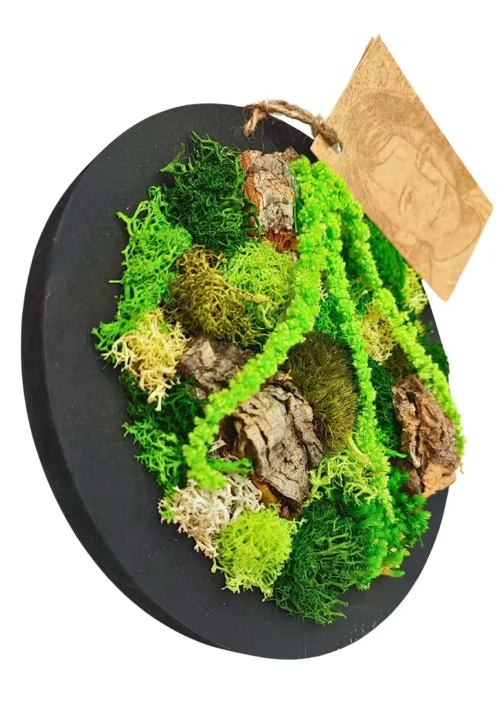 Quadro tondo mini di muschi e licheni stabilizzato con scatola regalo
