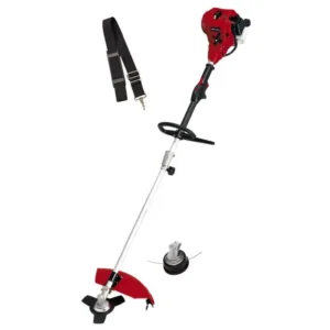Tagliabordi Elettrico Decespugliatore scoppio GC-BC 25 AS EINHELL