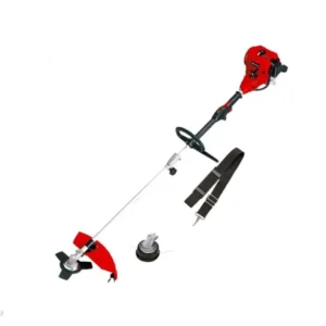 Tagliaerba Elettrico Decespugliatore scoppio GC-BC 30/1 AS EINHELL