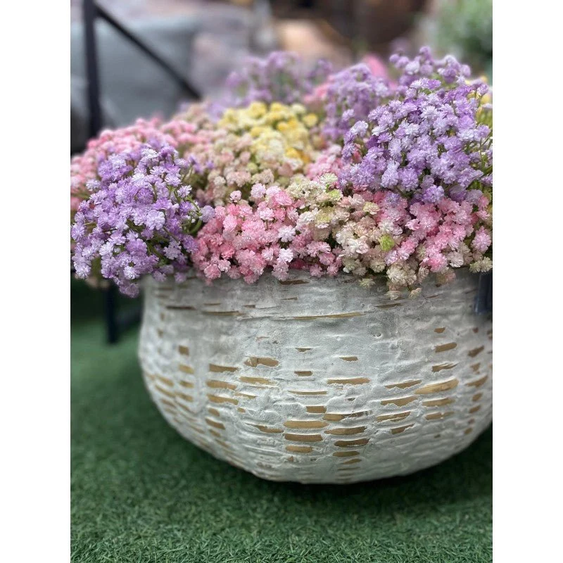 Tagliasiepi Elettrico Gypsophila Cespuglio h40 | Enzo de Gasperi