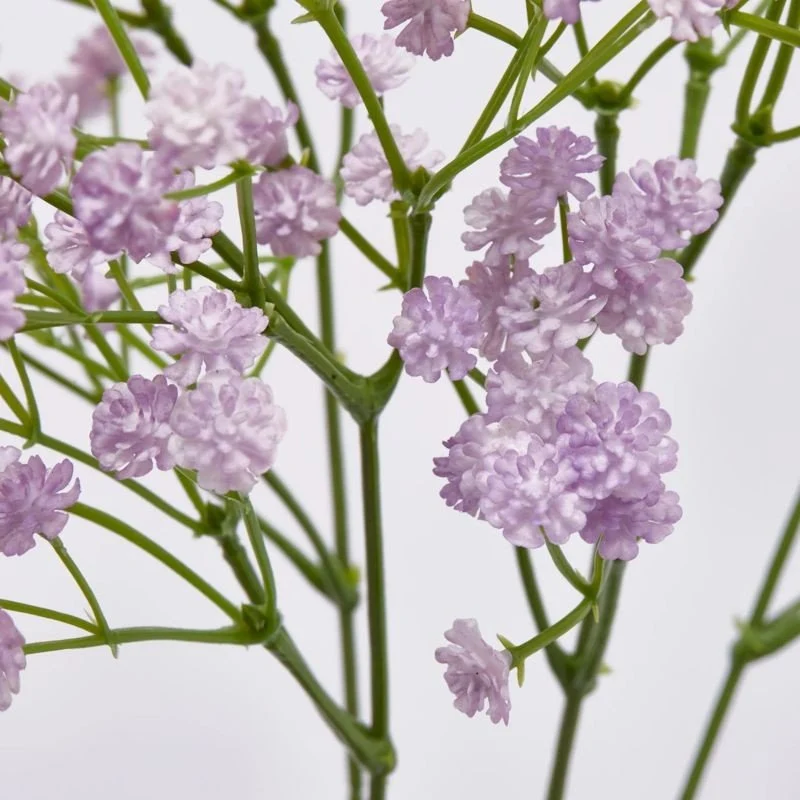Tagliasiepi Elettrico Gypsophila Cespuglio h40 | Enzo de Gasperi
