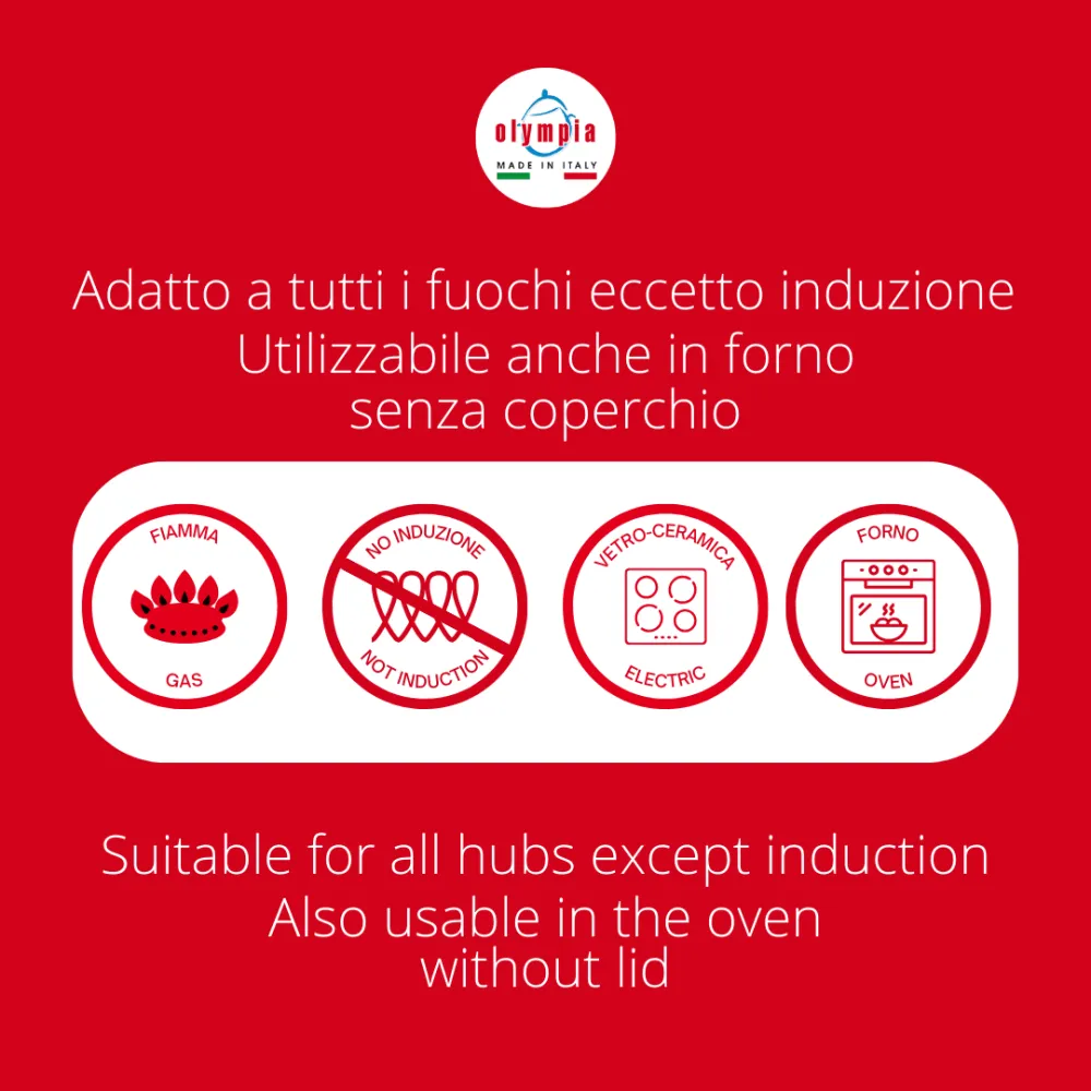 Tegame Quadro con Coperchio Hard Cook Alluminio Pressofuso 28x28 cm