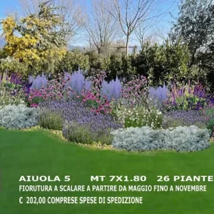 Vendita piante online Progetto 5