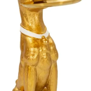 Pit di cane con vassoio CM 27x51x74