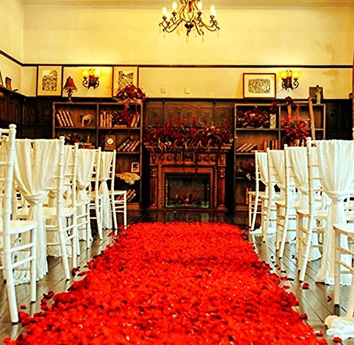 CHSYOO 1000 x Rose Artificiali Foglie Fiori Confetti, Decorazione Rosso