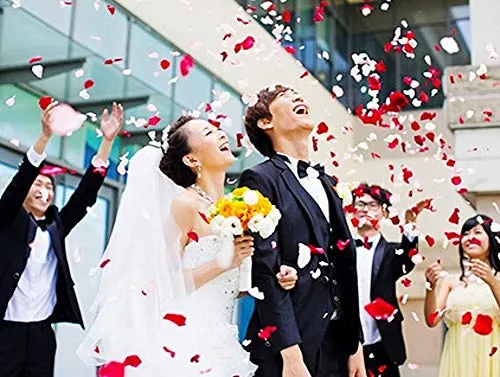 CHSYOO 1000 x Rose Artificiali Foglie Fiori Confetti, Decorazione Rosso