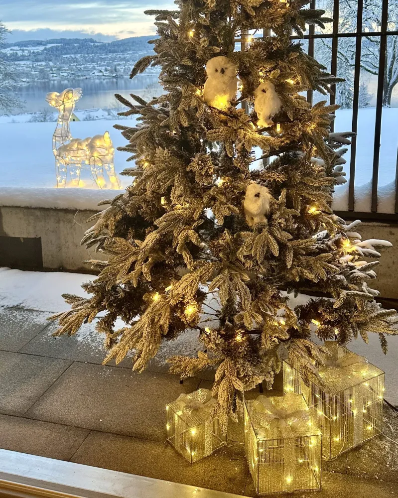 Pupazzo di Neve Set 3 Outdoor LED Decorations Christmas Gifts 25 cm Silver ARNES