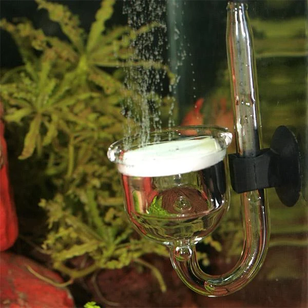 Taifun Glass Midi JBL Proflora - Glass CO2 Diffuser