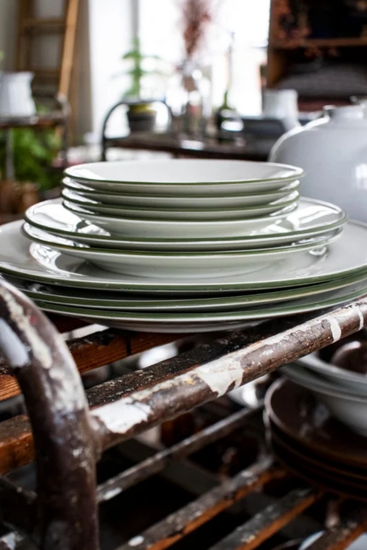 Pasta Plate Green