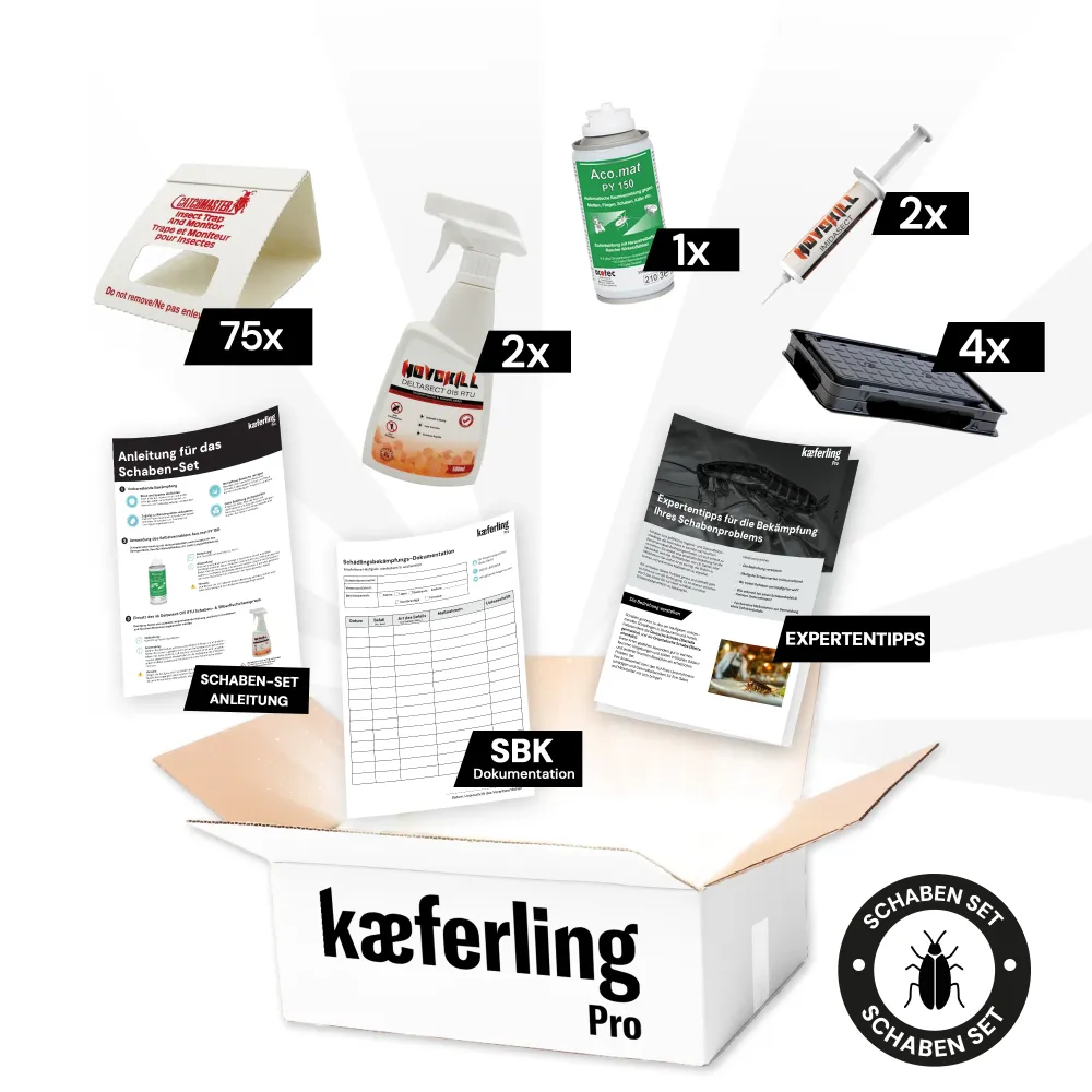 Kaeferling Pro Set per scarafaggi - Piccolo