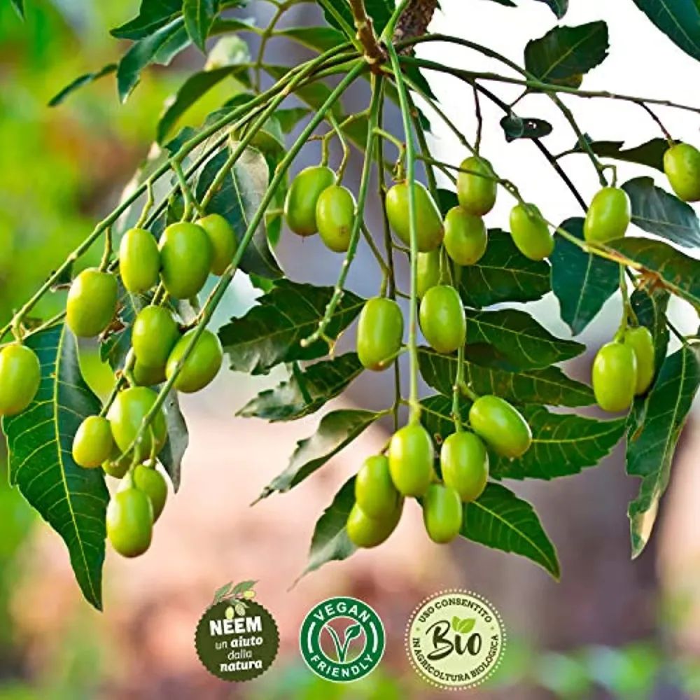 I Consigli Dell'Esperto Spray Olio di Neem Pronto all'Uso