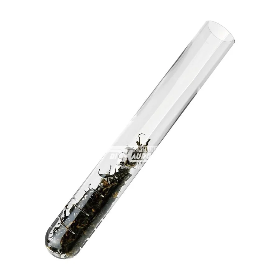 Infusore Tè Tube Vetro - Cm 2x15