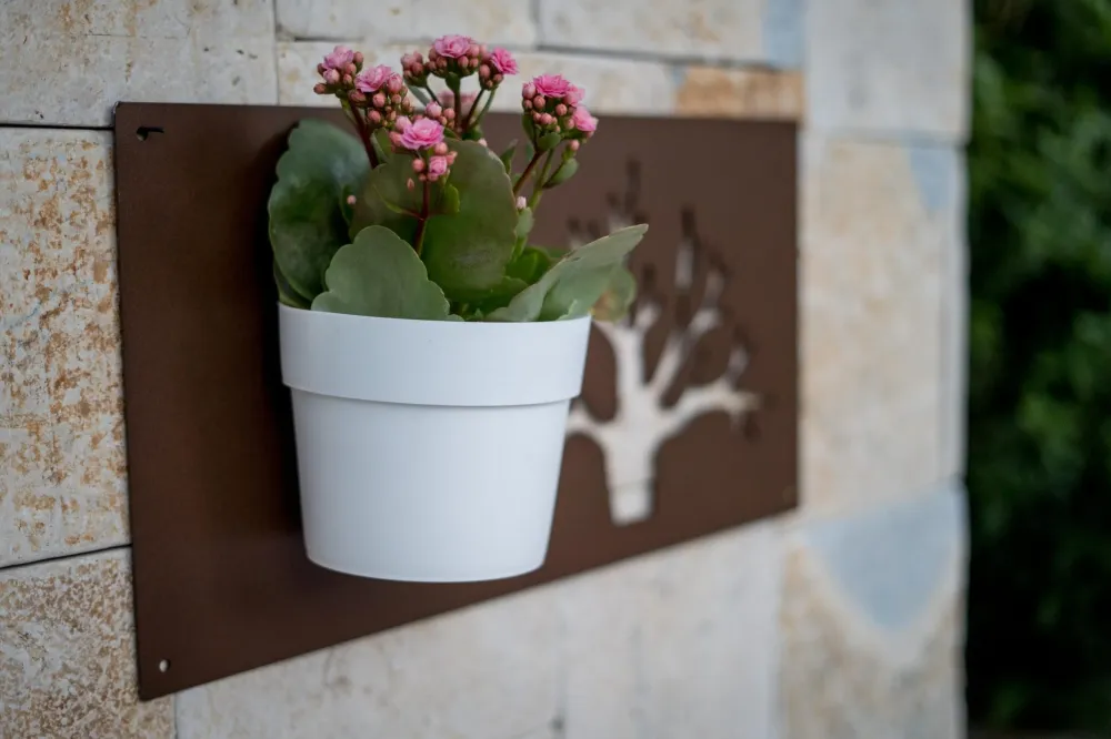 BAUM DECORAZIONE PARETE