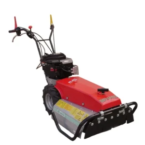 Falciatutto BENASSI FT 155 Disboscatore HONDA GCV X170