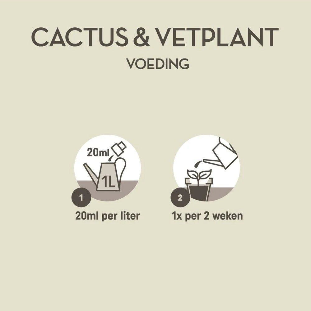 Fertilizzante per cactus e succulente - 250 ml