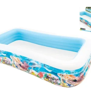 Piscina Family Pesci Rett. 305x183x56