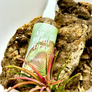 Spray Fertilizzante per Tillandsie 150ml - Nutrimento Spray per Air Plants