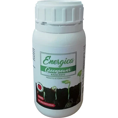 Radicante Polvere Energica - Gr 100- 12 Pezzi