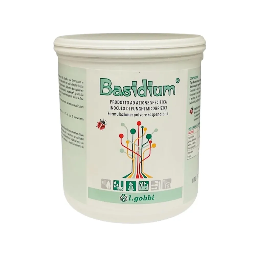 Basidium Kg. 1