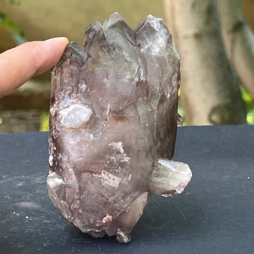 Cluster rosso ematoide dallo Zimbabwe modello 11
