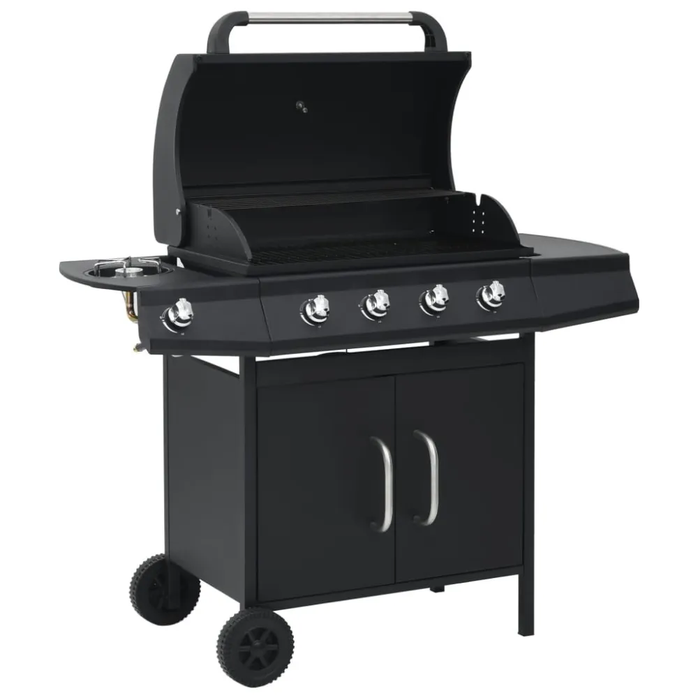 Barbecue e Griglia Gas 4+1 Fornelli Nero Acciaio