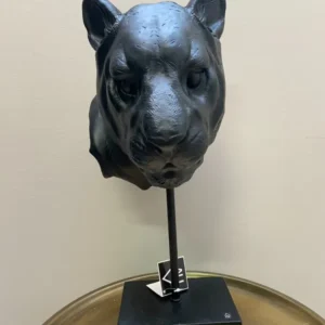 Immagine della testa della tigre nera