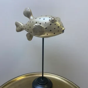 Pesce felice