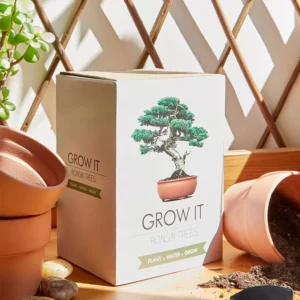 Kit per piantare bonsai