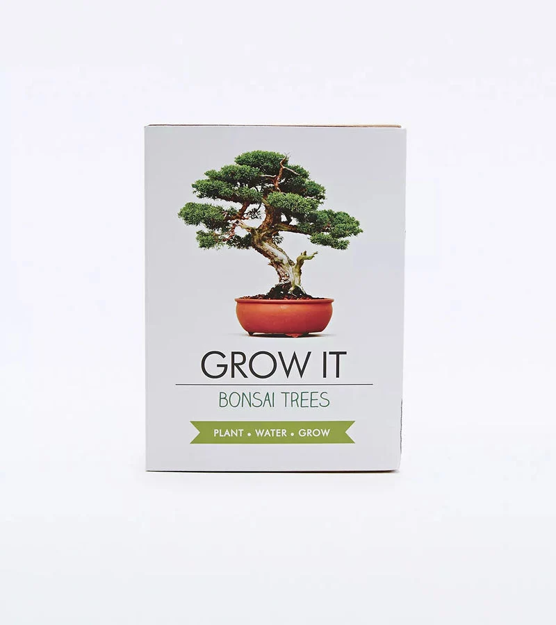 Kit per piantare bonsai