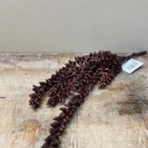 Pianta di pisello artificiale marrone