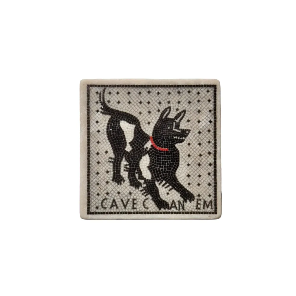 Magnete Cave Canem su Marmo botticino