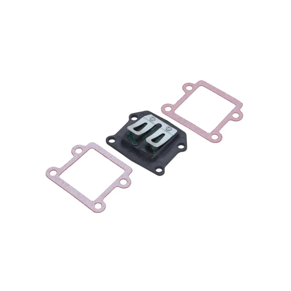 Membrane Polini - MBK Booster / BWS