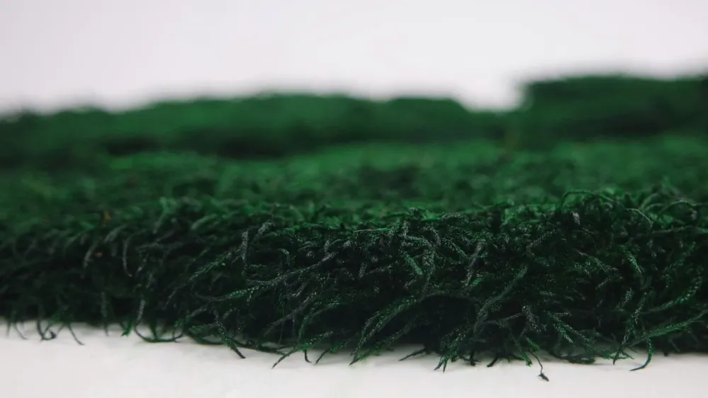 Rag moss stabilizzato - Confezione da 2 mq - Verde
