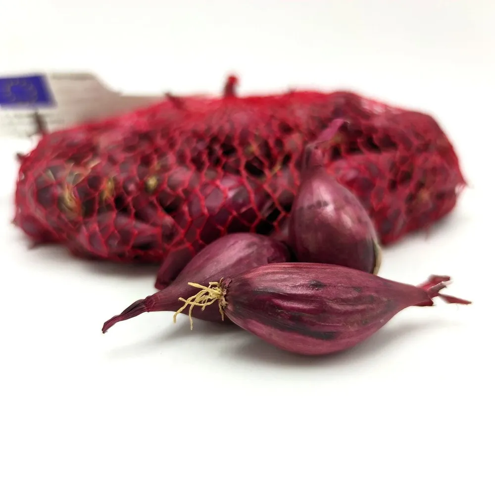 Cipolle Rosse bulbi - confezione 500 gr