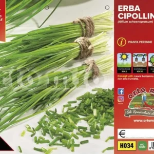 Erba cipollina - 6 ciuffi - Orto Mio