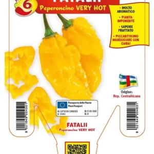 Peperoncino piccante very hot Fatalii - v. 14 cm - Orto Mio