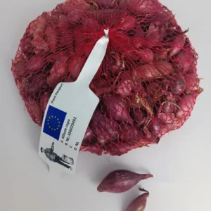 Bulbi Cipolla rossa Romy - tipo Tropea - 500 gr