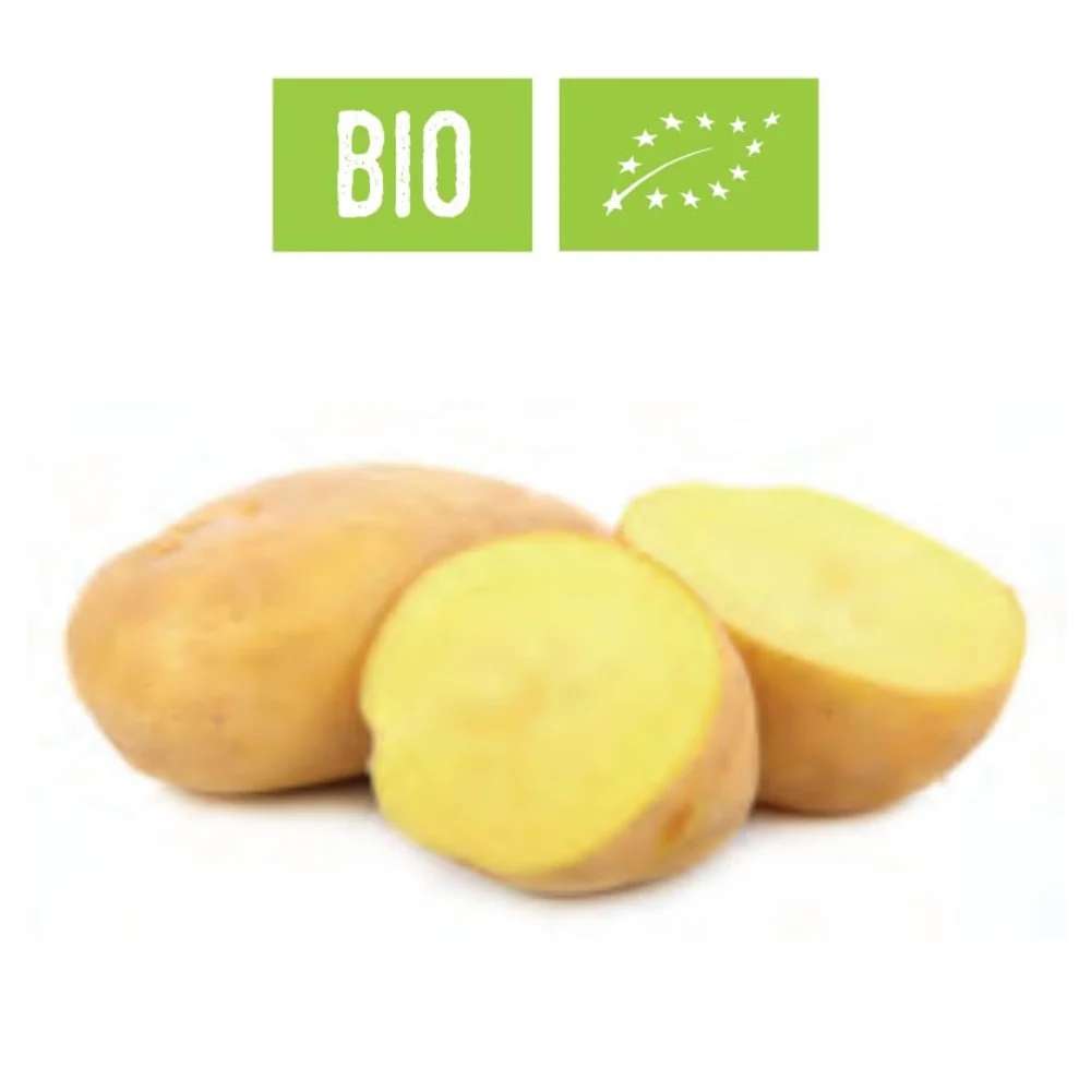 Patata gialla Bio varietà Cicero - mini tuberi 5 kg - Simbiosys