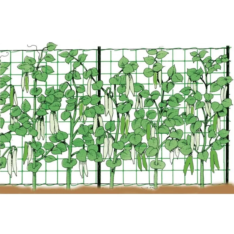 Stocker Rete rampicante 2 x 50 m - Ricambio Universale