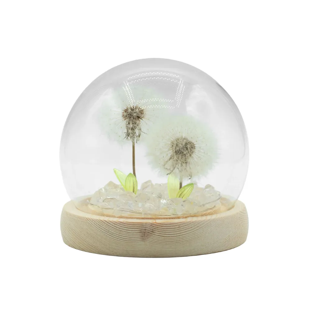 Cupola da Giardino Floral Glow – 2 Denti di Leone – LED USB