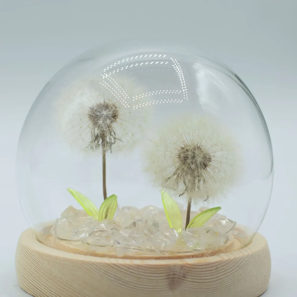 Cupola da Giardino Floral Glow – 2 Denti di Leone – LED USB