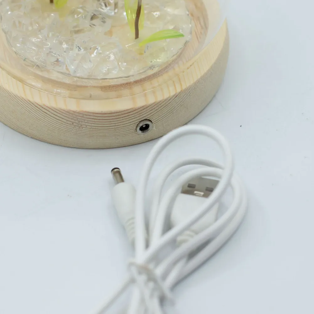 Cupola da Giardino Floral Glow – 2 Denti di Leone – LED USB