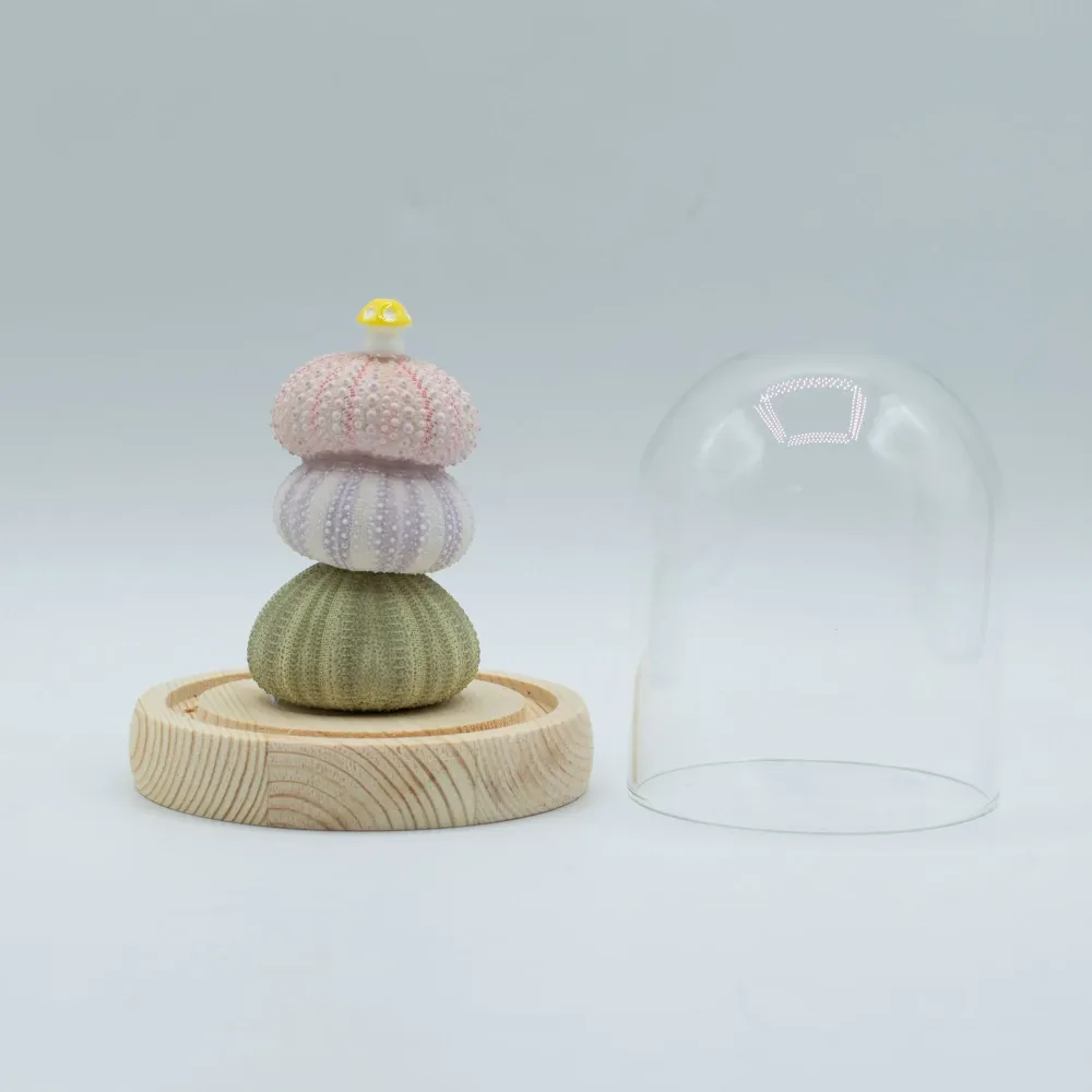 Cupola da Giardino Floral Glow – 3 Ricci di Mare – LED USB